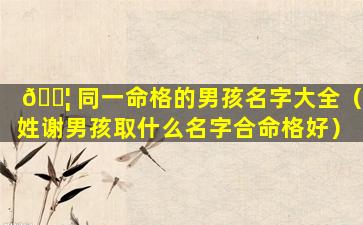 🐦 同一命格的男孩名字大全（姓谢男孩取什么名字合命格好）
